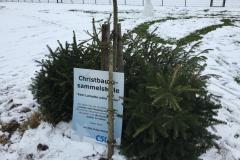 2019-01-12-at-12.06.48