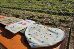 20240829_171404_resized_1