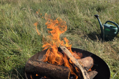 IMG_20251114_190856_618