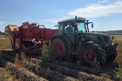 IMG_20251114_193537_440